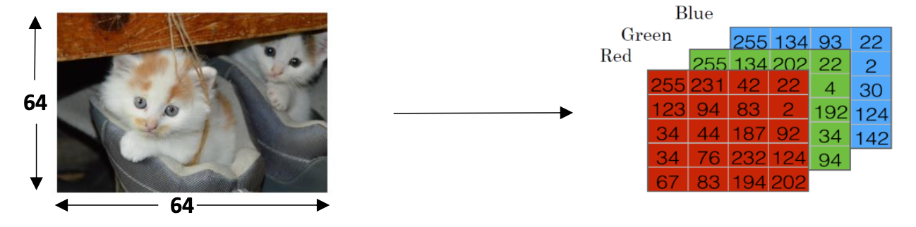 Binary Classification Schema